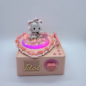 bluetooth speaker (6)